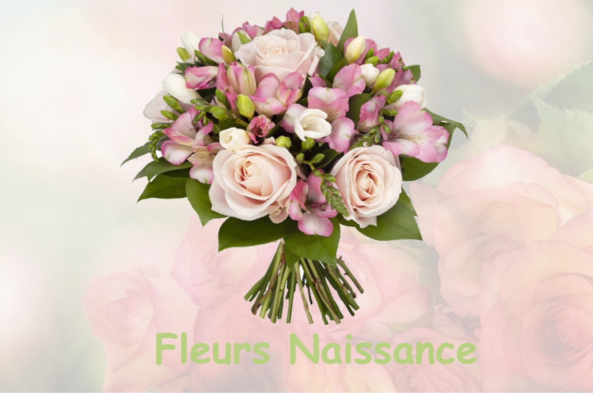 fleurs naissance LA-CROIX-SUR-ROUDOULE