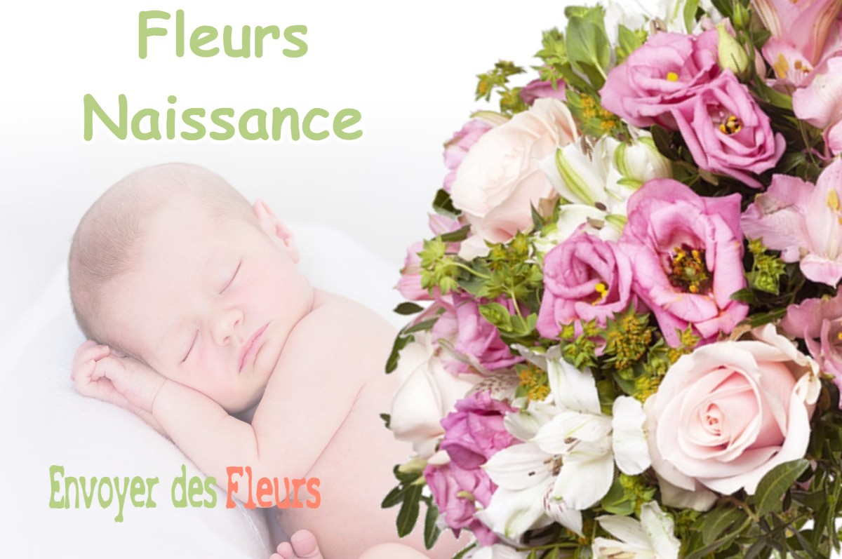 lIVRAISON FLEURS NAISSANCE à LA-CROIX-SUR-ROUDOULE